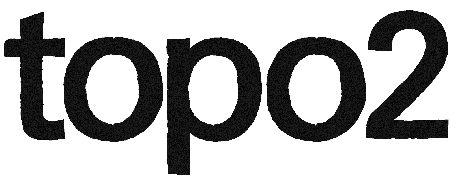 the logo of topo2